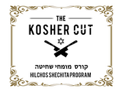 Hilchos Shechita Course