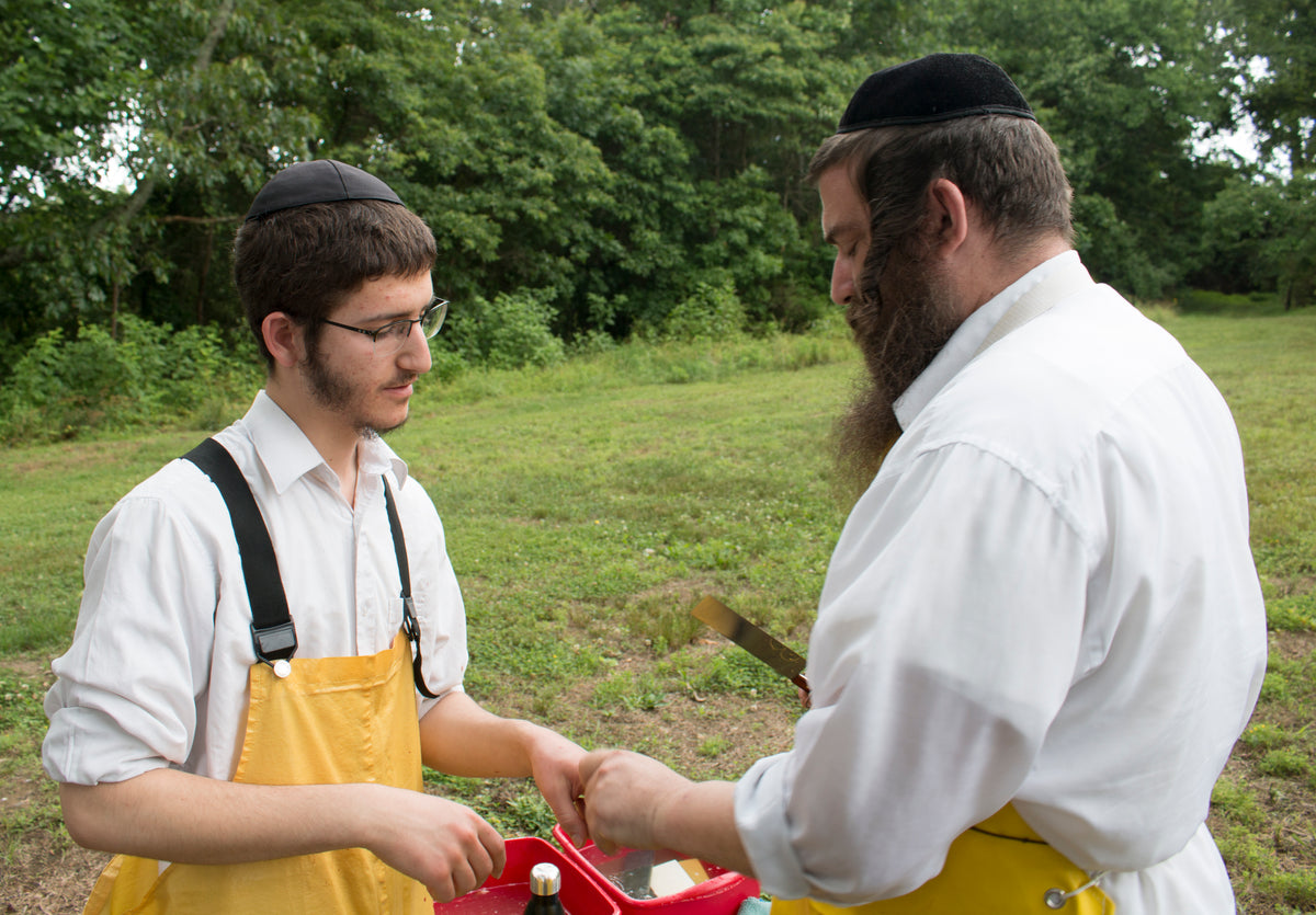 Training – The Kosher Cut